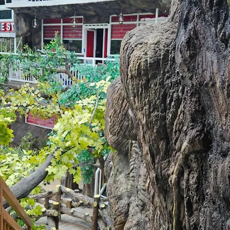 S & B Dreams House Apartment Munnar Exterior photo