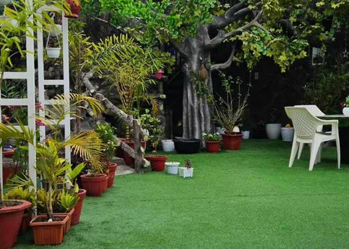 S & B Dreams House