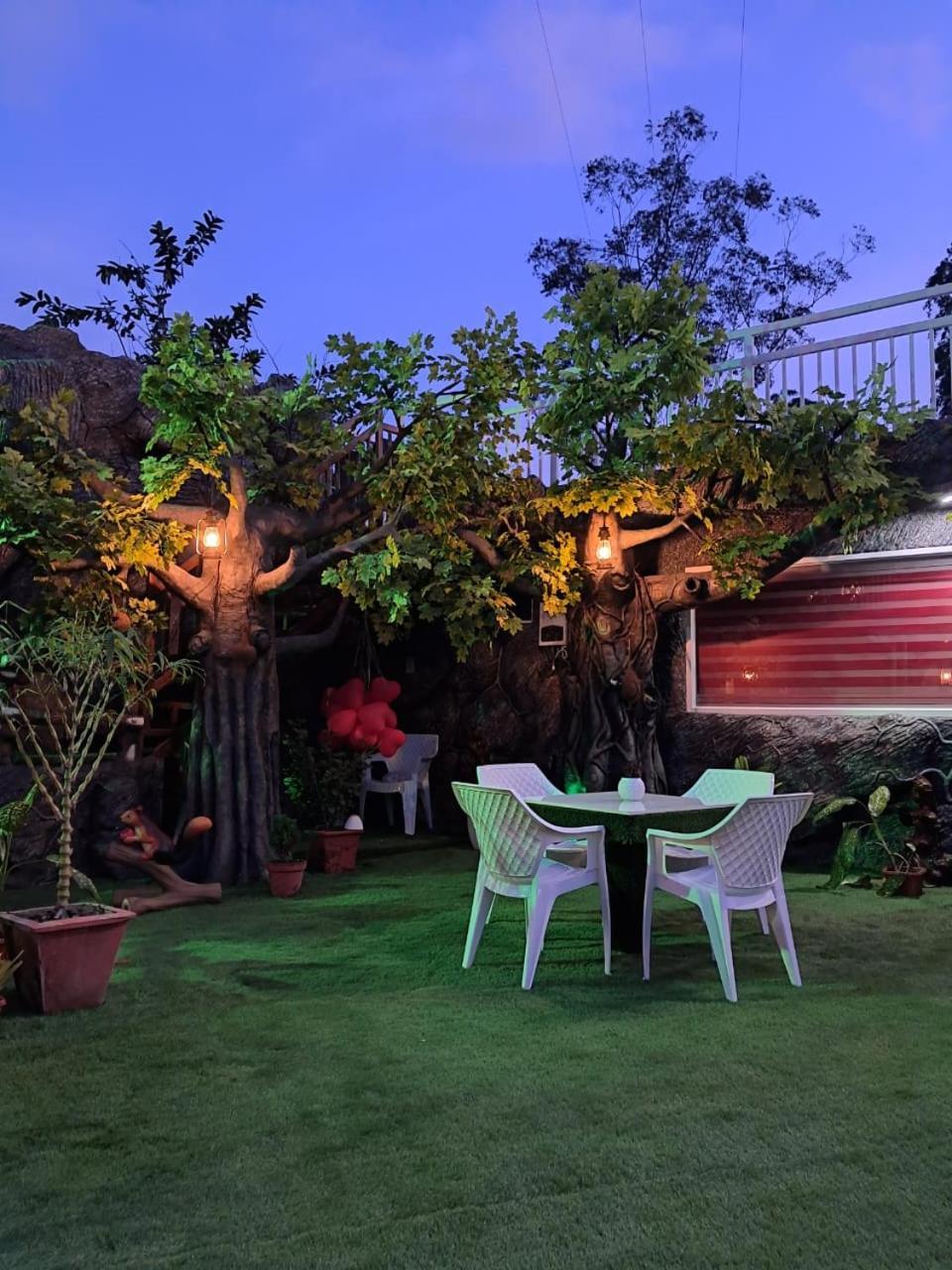Homestay S & B Dreams House