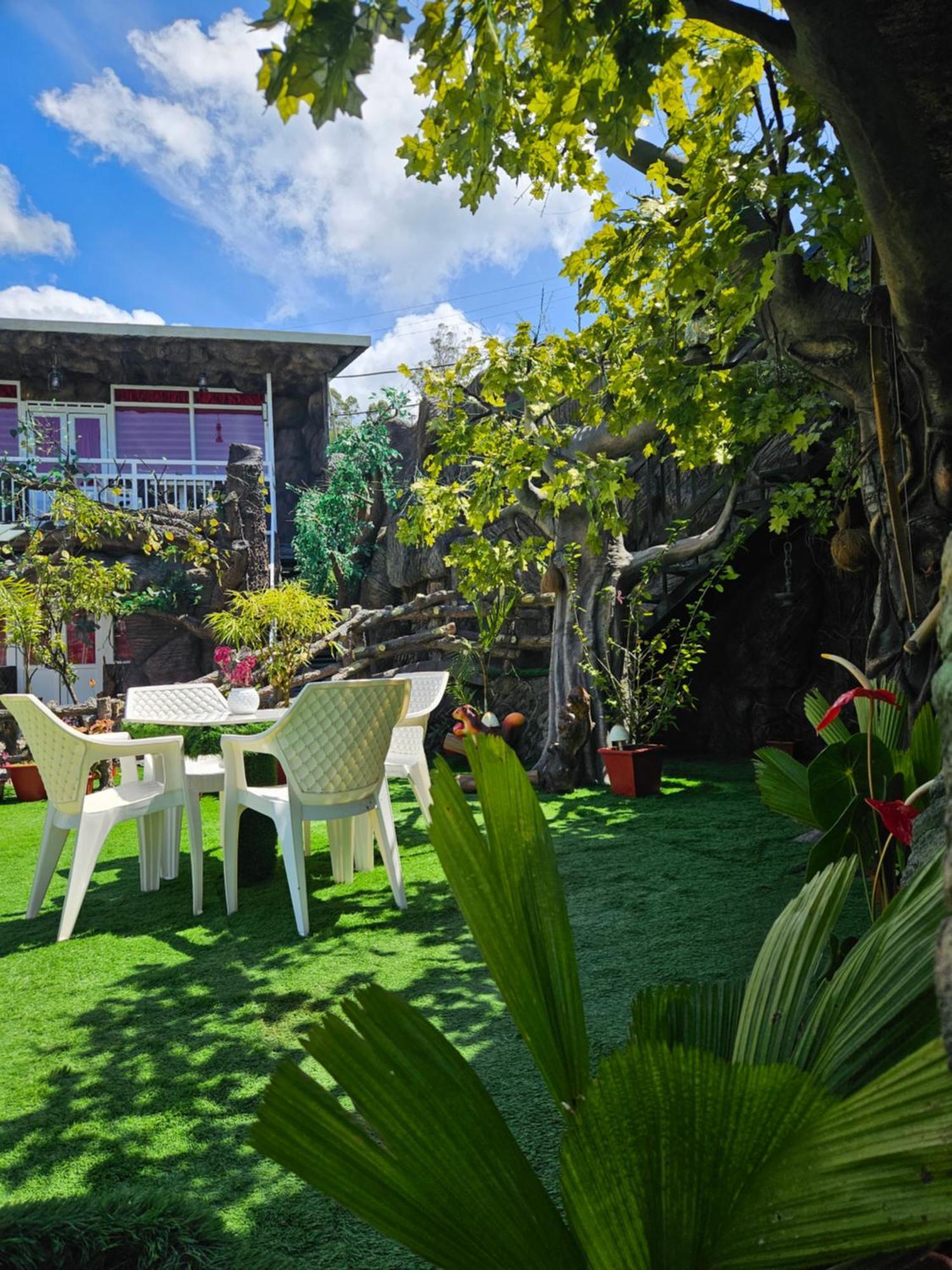 S & B Dreams House Homestay Munnar