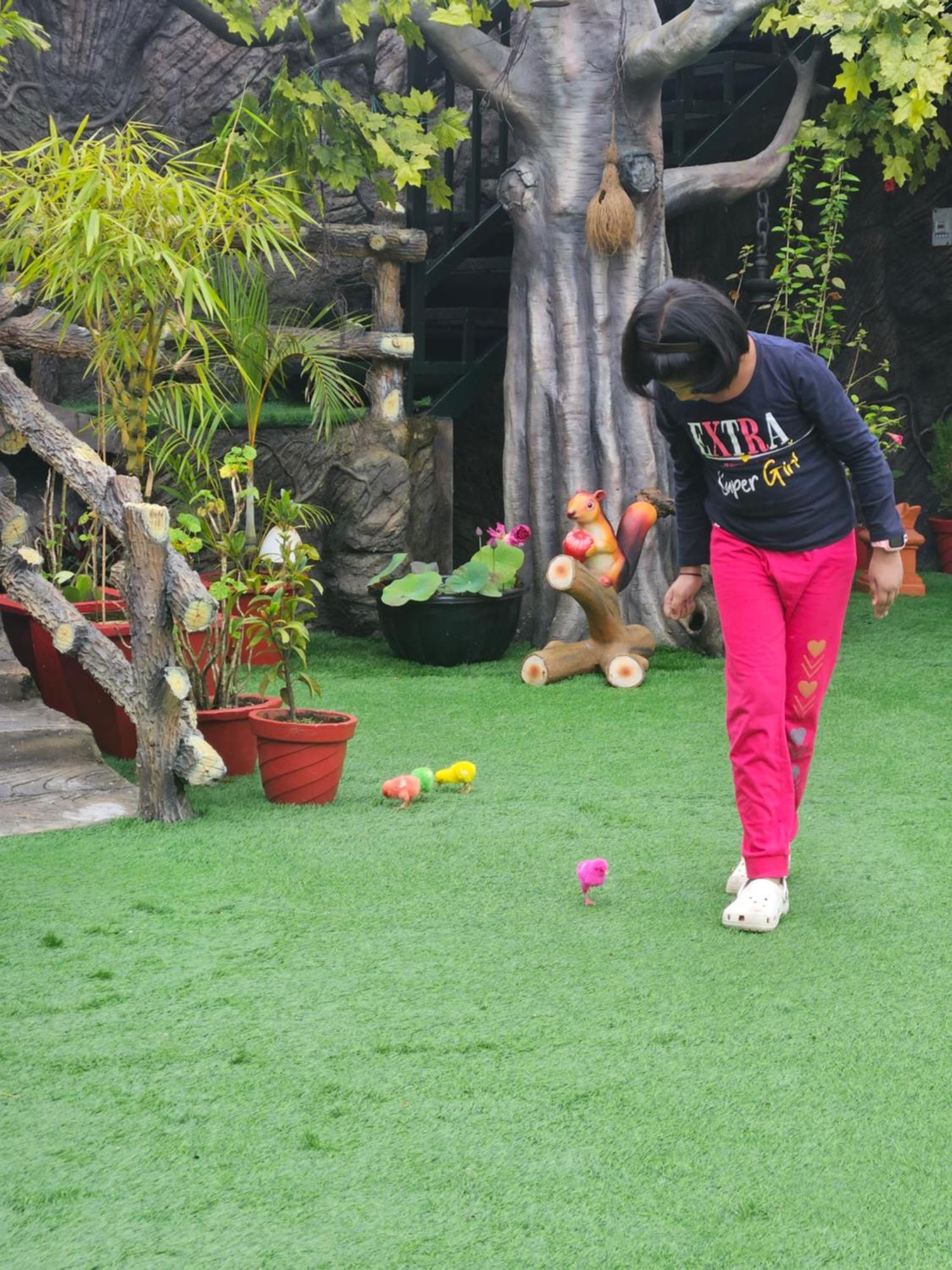 Homestay S & B Dreams House *