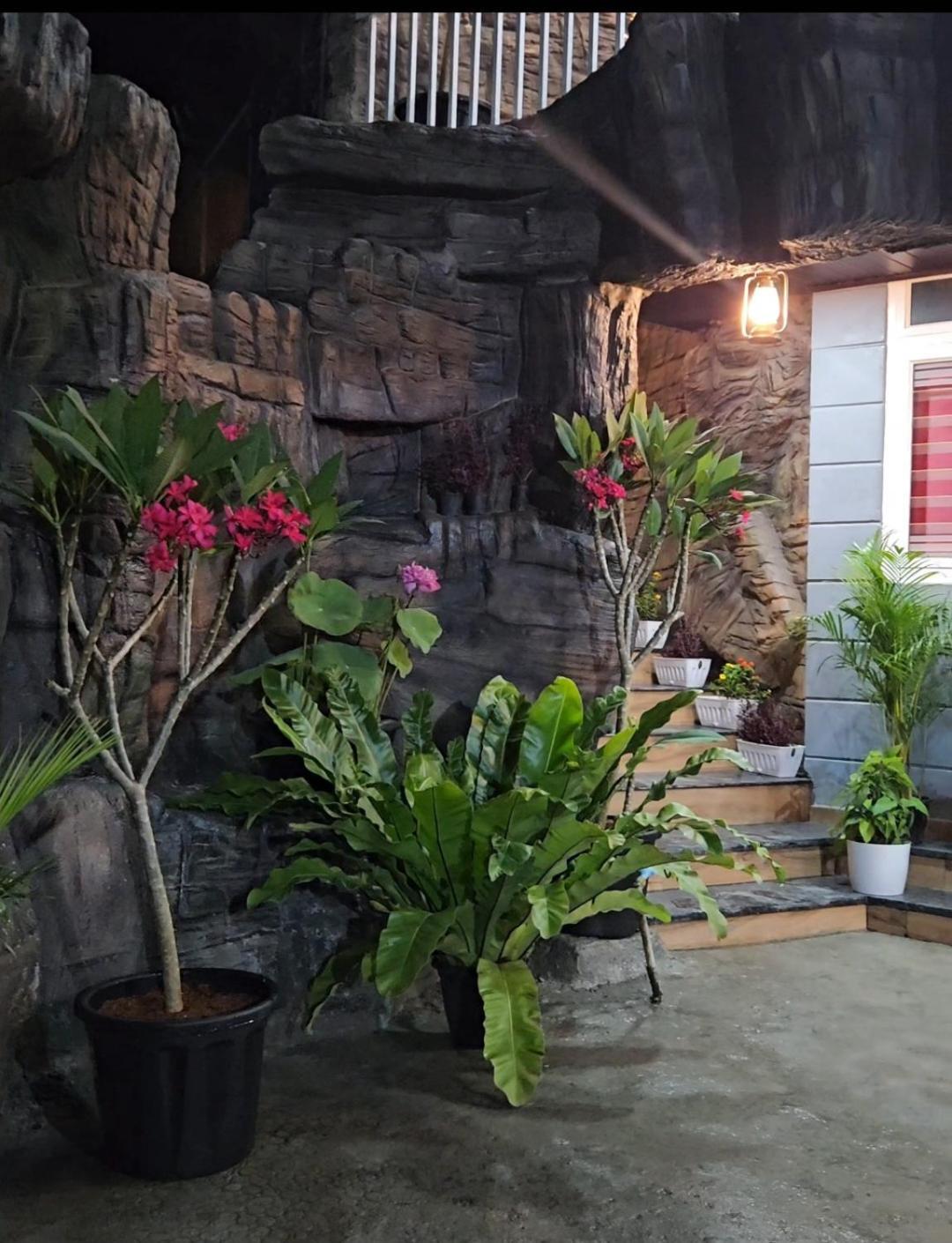 Homestay S & B Dreams House *
