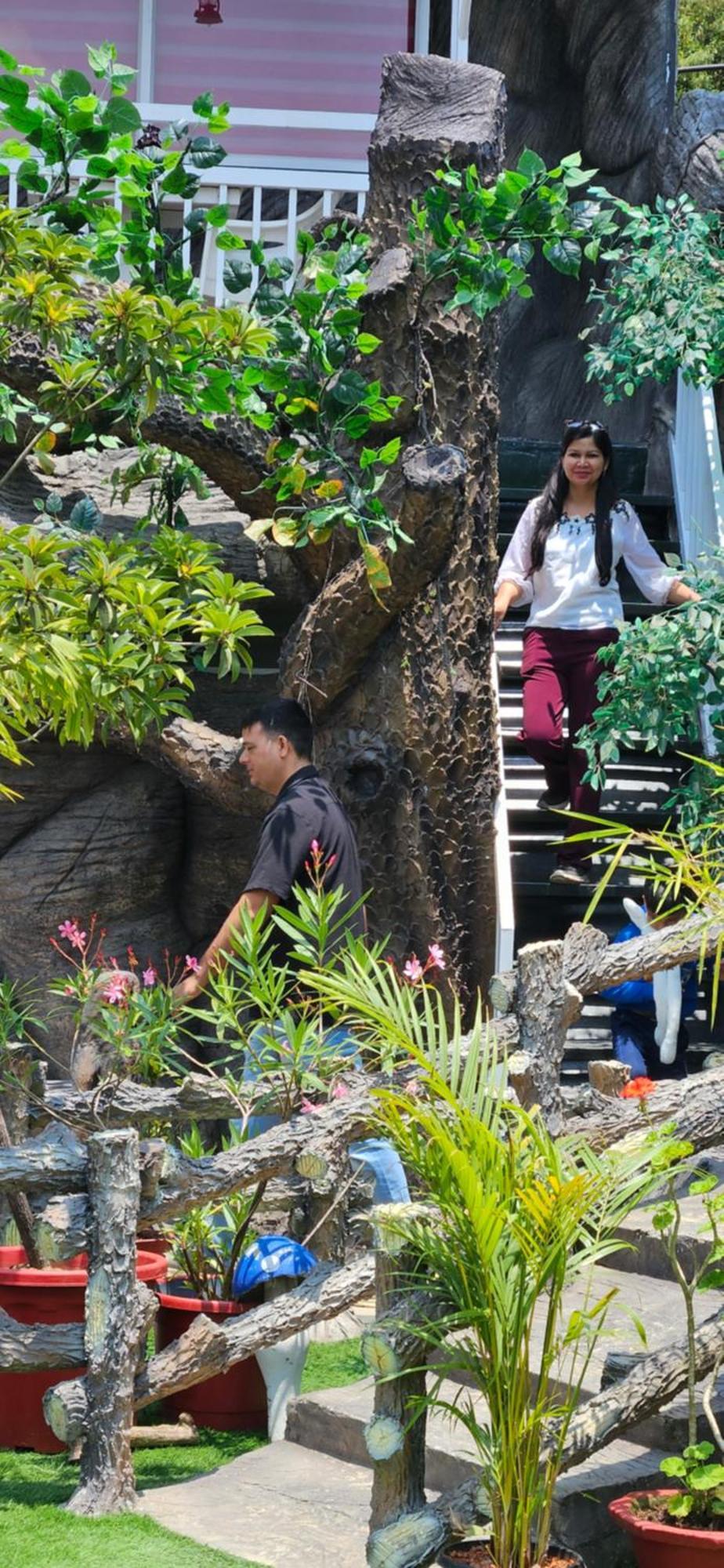 S & B Dreams House *