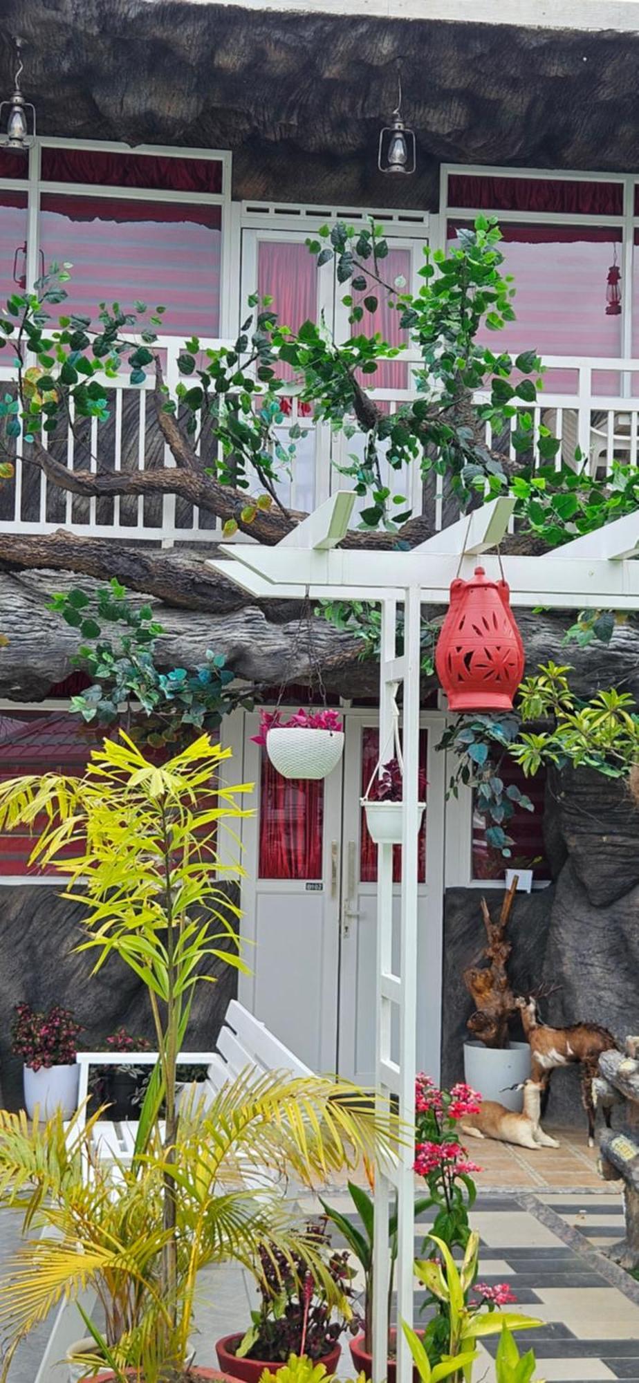 S & B Dreams House Homestay
