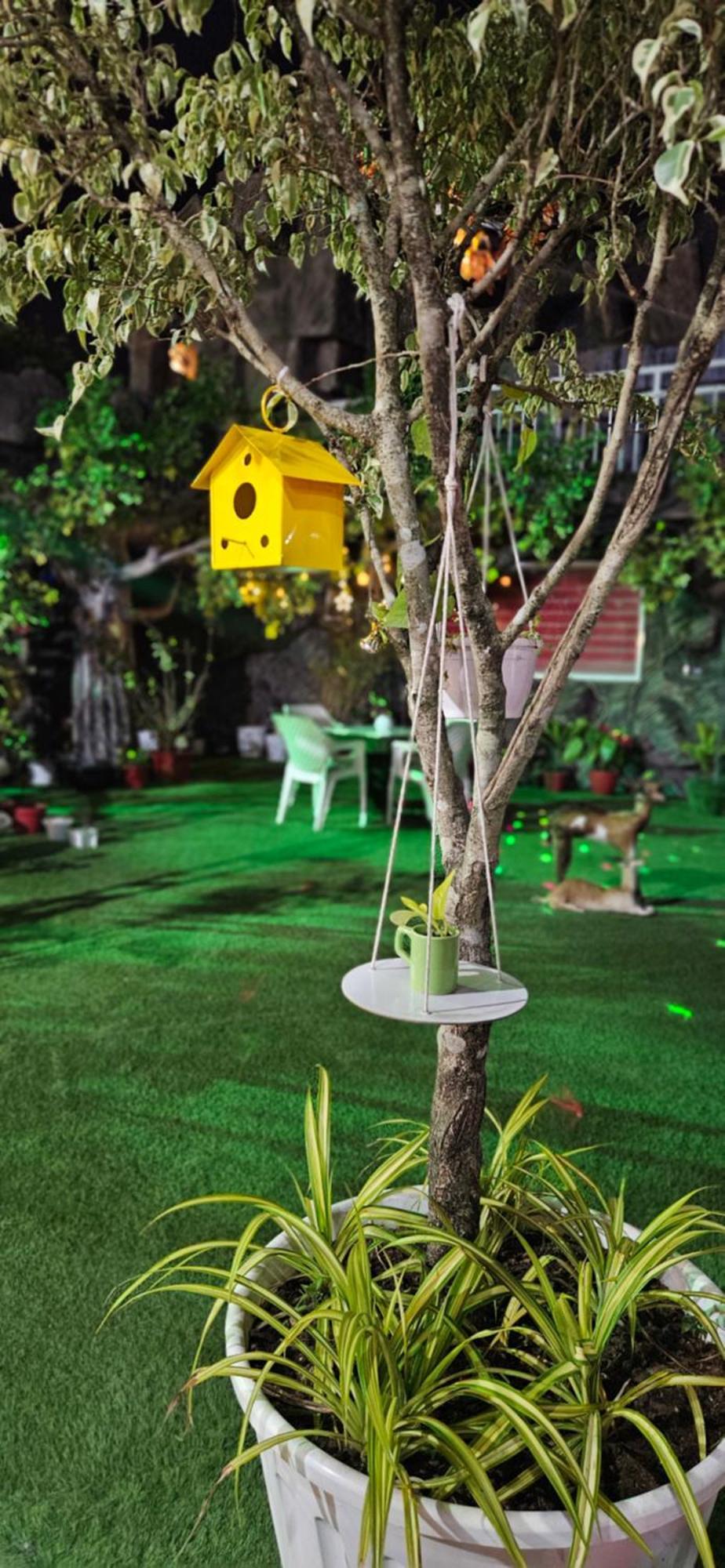 Homestay S & B Dreams House